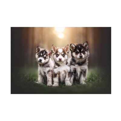 Natalie Grosse Trouble Comes In Threes Canvas Art