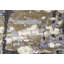 Sona One-of-a-Kind 7'9" X 9'9" Area Rug
