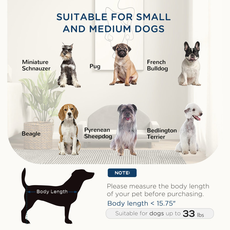 Canapé surélevé pour petits et moyens chiens