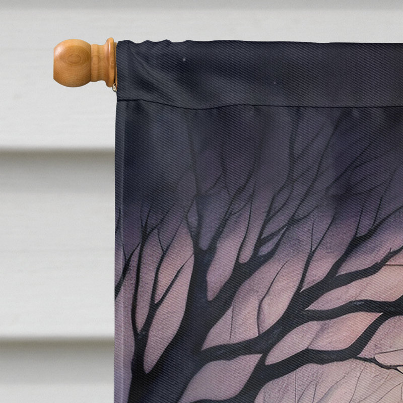 Double Sided 40'' H x 28'' W Polyester Halloween House Flag