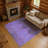 Premium Machine Washable Bucz AMF1742 Modern Rug-1376456339