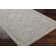 Finnlagh Oriental Indoor Rug
