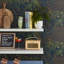 Envy Savannah Fauna Removable Wallpaper-1184578519