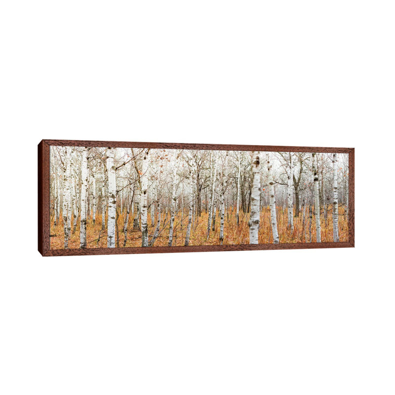 Birch Grove Panoramic 1 Piece Panoramic Wall Art on Canvas, 121.92 cm H x 40.64 cm W, Classic Brown Wood Framed