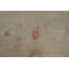 Tapis turc Oushak 5 x 8