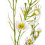 Polyethylene (PE) Baby's Breath Arrangement