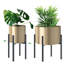 Ferihan Metal Plant Stand