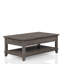 Table de cocktail à plateau relevable gris rustique avec tablette de rangement en bois massif et tablette, gris, 48,65 po Long