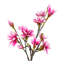 75cm Faux Magnolia Tree