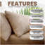 Standard - Set of 2-118762779