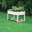 Raised Garden Bed-896917429