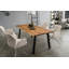 Hoytt Rectangular Dining Table-1221684841