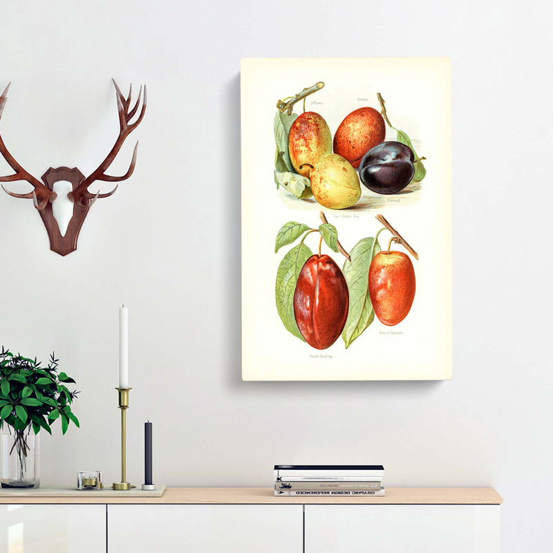 Vintage Illustrations Of Plums - Wrapped Canvas, 60cm H x 40cm W x 3cm D