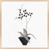 Orchid Study 2 Print by Simon Schneiderman