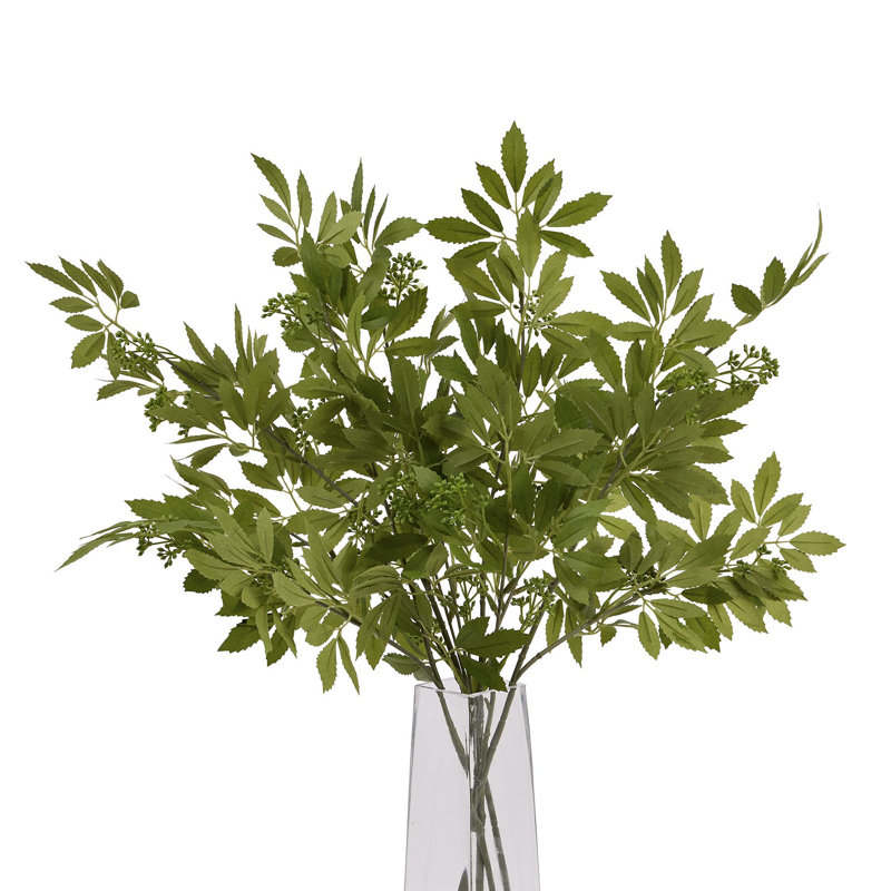 Anastasija Arrangement