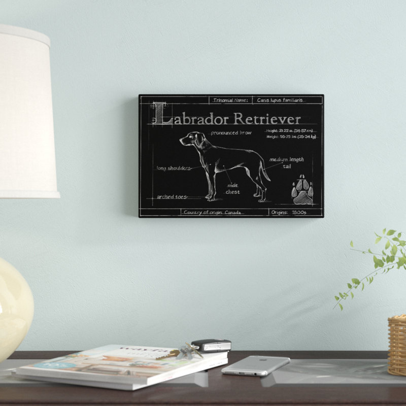 "Blue Labrador Retriever" par Ethan Harper, reproduction d'art sur toile, H 8 po x l 12 po, Cadre noir