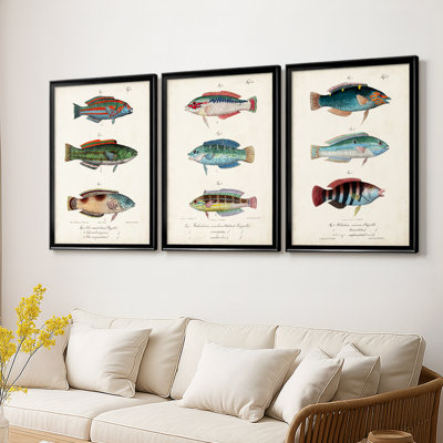 Antique Fish Trio I - Toile tendue avec châssis sur mesure - 3 pièces