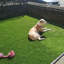 Briseida 40mm Kids, Pets Friendly Artificial Grass For Lawn Patioo-4m(13'1") X 2m(6'6")-8m²