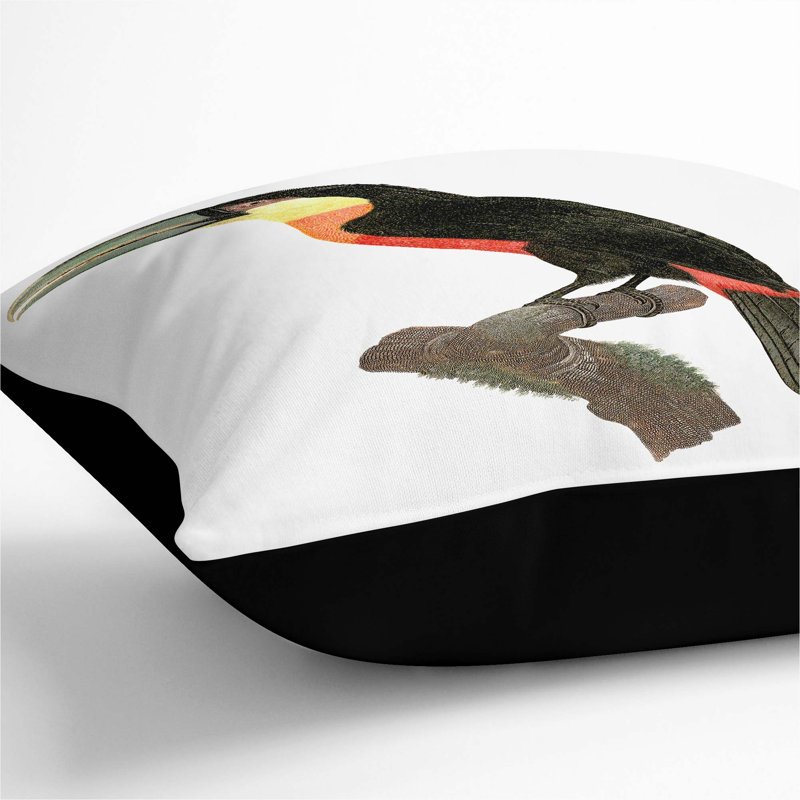 Square Throw Cushion, 55cm H x 55cm W x 20cm D, Black