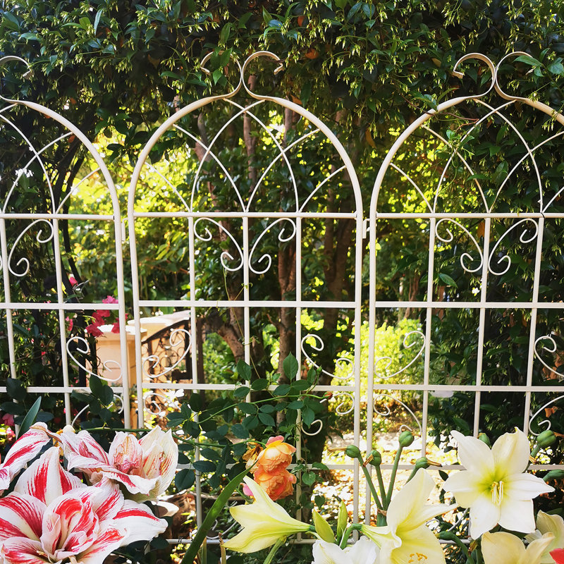 Treillis polyvalent en métal pour les plantes d'extérieur, rehaussant la beauté du jardin