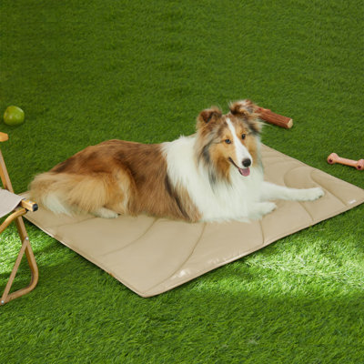 Tapis de voyage en nylon pour chien