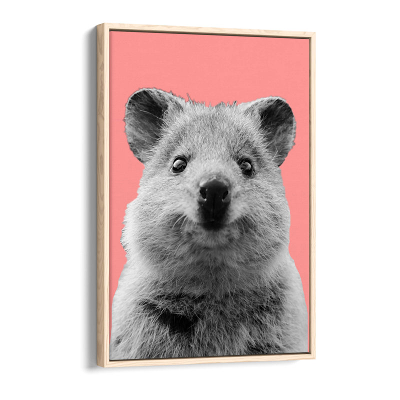 Quokka Light Pink Background - Mutlicoloured Canvas Floater Frame Print Art - Light Oak Frame, 76.2cm H x 50.8cm W