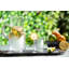 Carafe de nuit en verre chevet Deyoung-937916400
