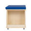 Mobile Teacher Stool With Storage