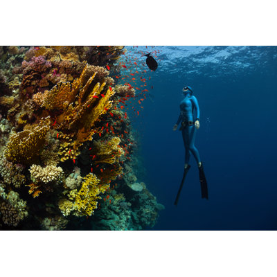 Freediver - Wrapped Canvas Print