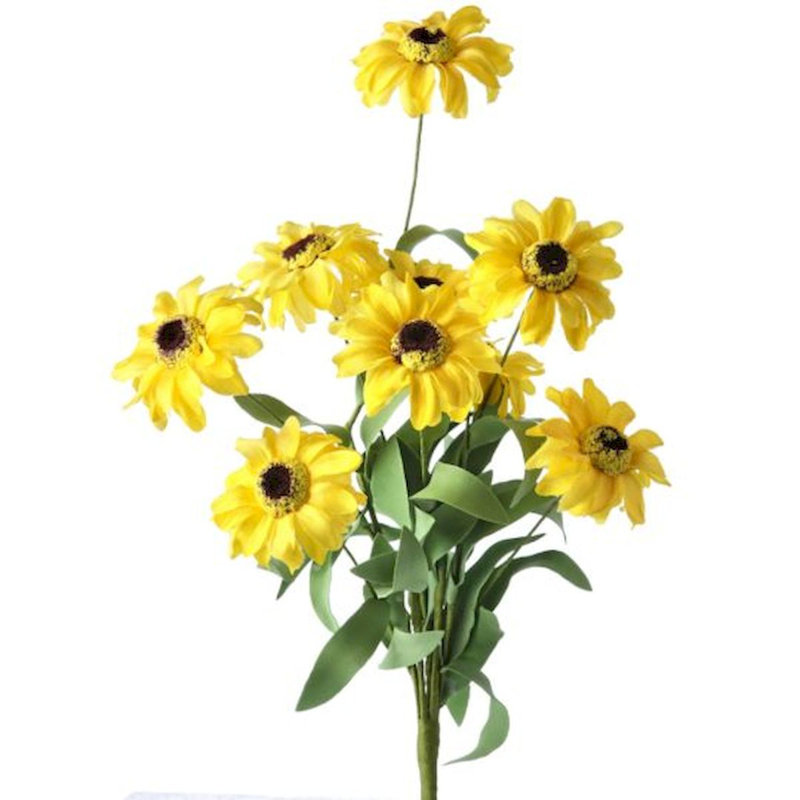 Daisy Bushes