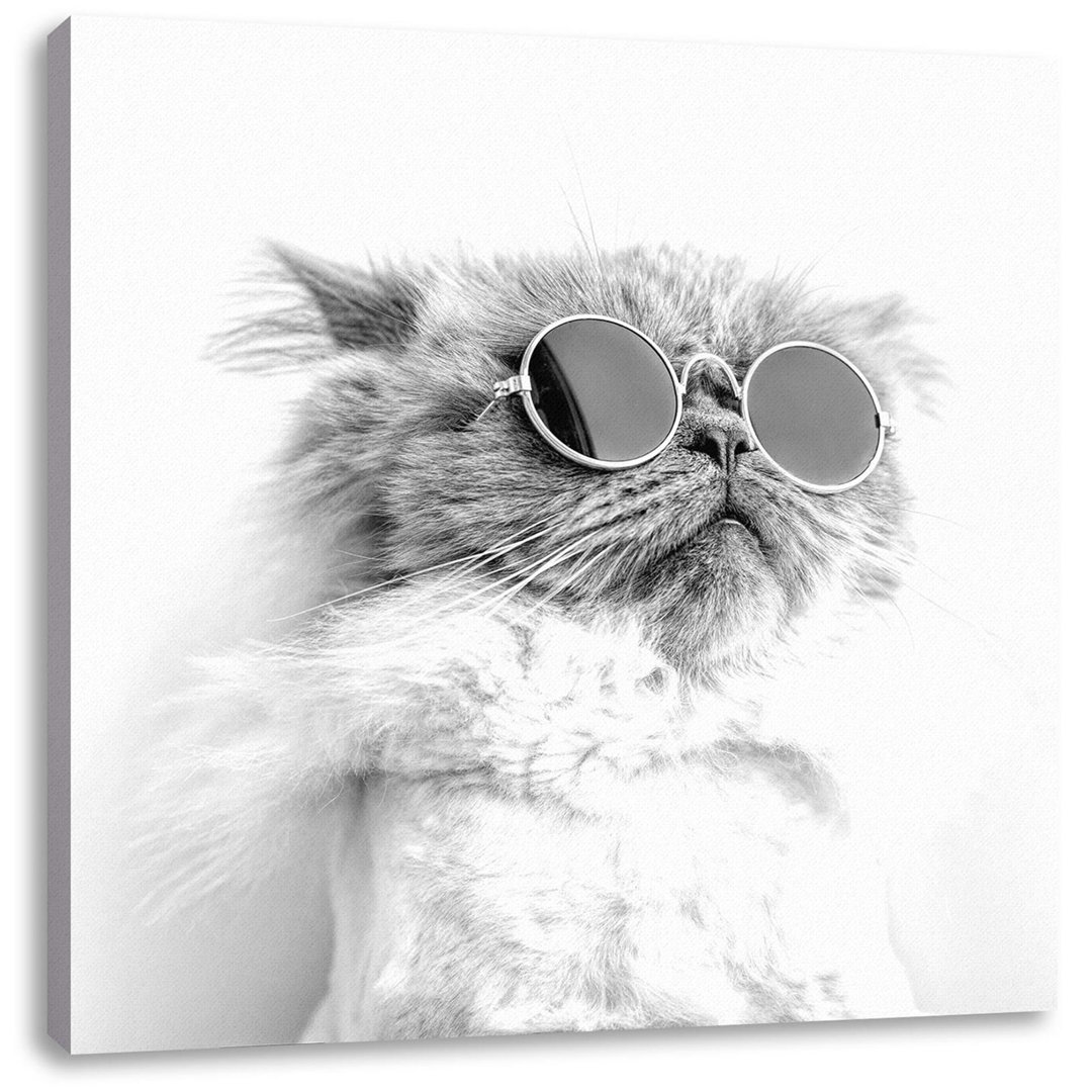 Coole Katze mit runder Sonnenbrille, Monochrom-Leinwanddruck quadratisch