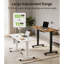 Standing Desk