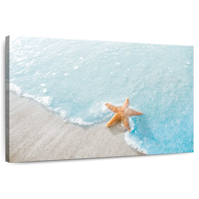 Aletra bord de mer, étoile de mer