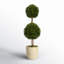 Preserved Boxwood Double Ball Topiary in Pot-465220151