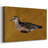 Feathered Friend I-Gallery Wrapped Canvas-56107347