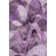 Premium Machine Washable Mayfield AMF536 Purple
