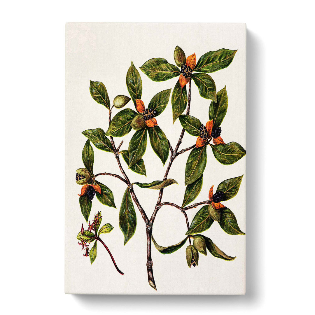 Tawhirikaro Flowers by Sarah Featon - Wrapped Canvas