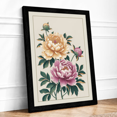 Peony Study Botanical - Print