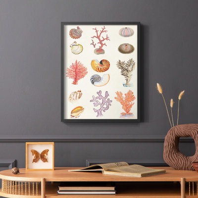 «Coral & Shell Collage I», reproduction encadrée - bois massif