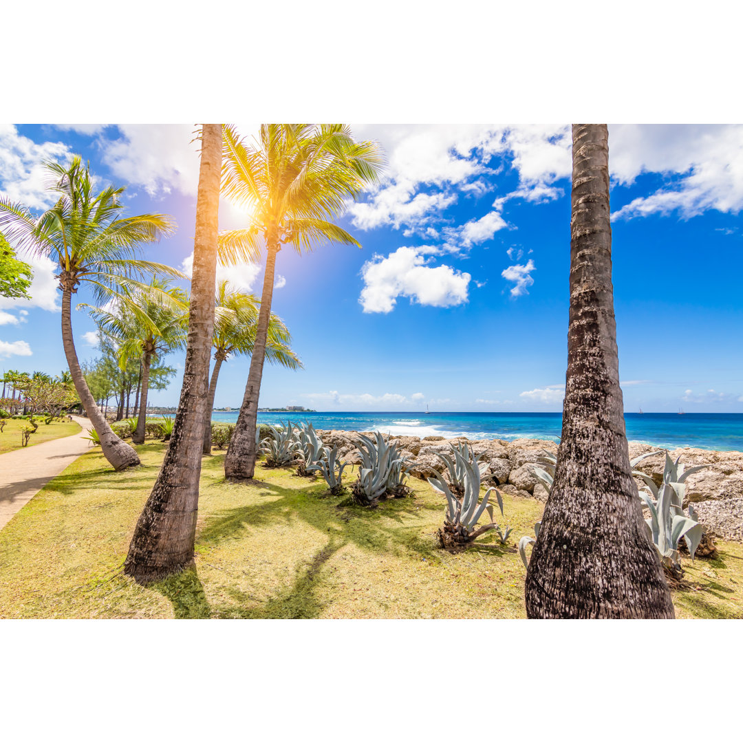 Palm Trees - Wrapped Canvas Print