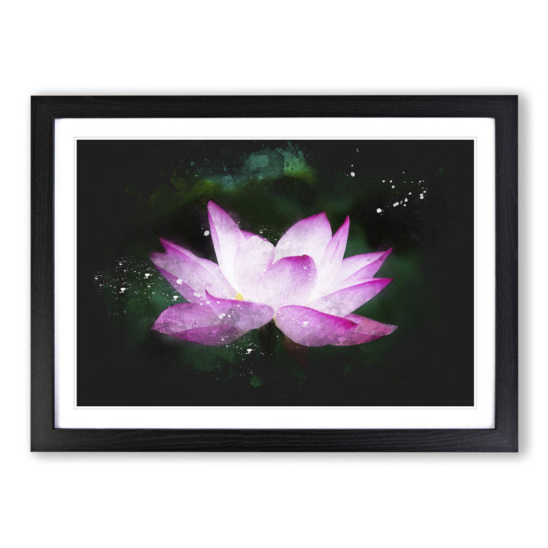 Pink Water Lily Flower Vol.2 - Picture Frame Graphic Art, 48cm H x 65cm W x 2cm D, Black Framed