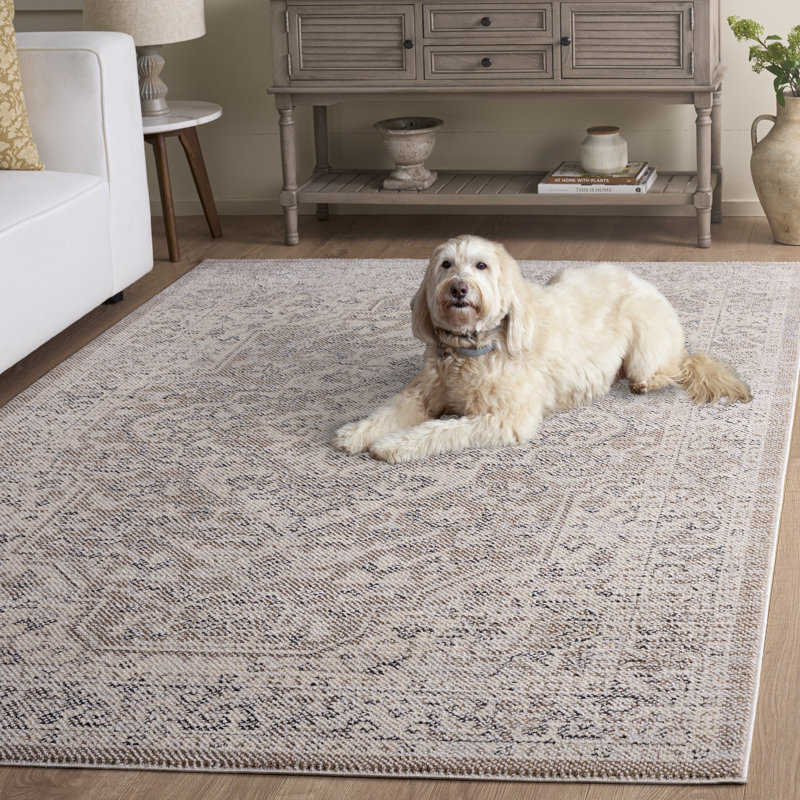 Tapis oriental Harrison 402 Performance, Rectangle 5 pi 3 po x 7 pi 6 po