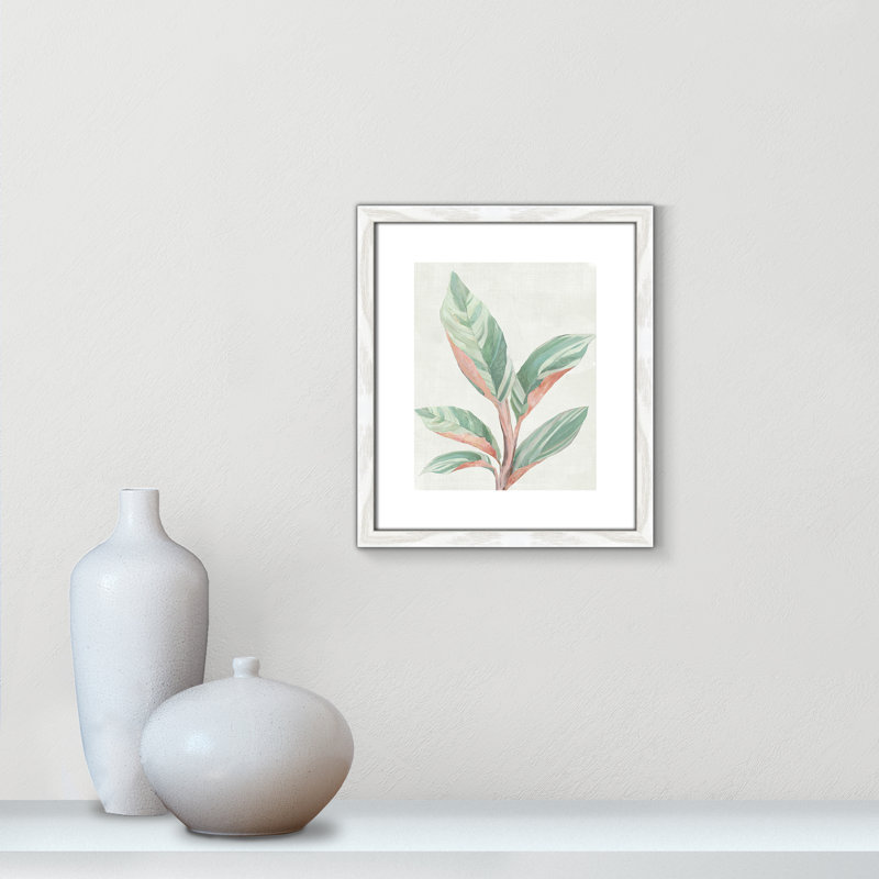 Gingembre II - reproduction d'art, Papier avec cadre en bois blanc, H 15 po x l 13 po x P 0,75 po