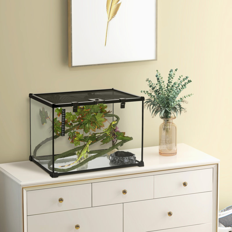 Réservoir de reptile 14 gallons avec ensemble de décoration. Vue à 360 °, coffre-fort, pour terrasses pour lézards et plus, feuille d'érable noire et lézards cachettes, serpents, grenouilles, araignées