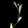 Quill Torchiere