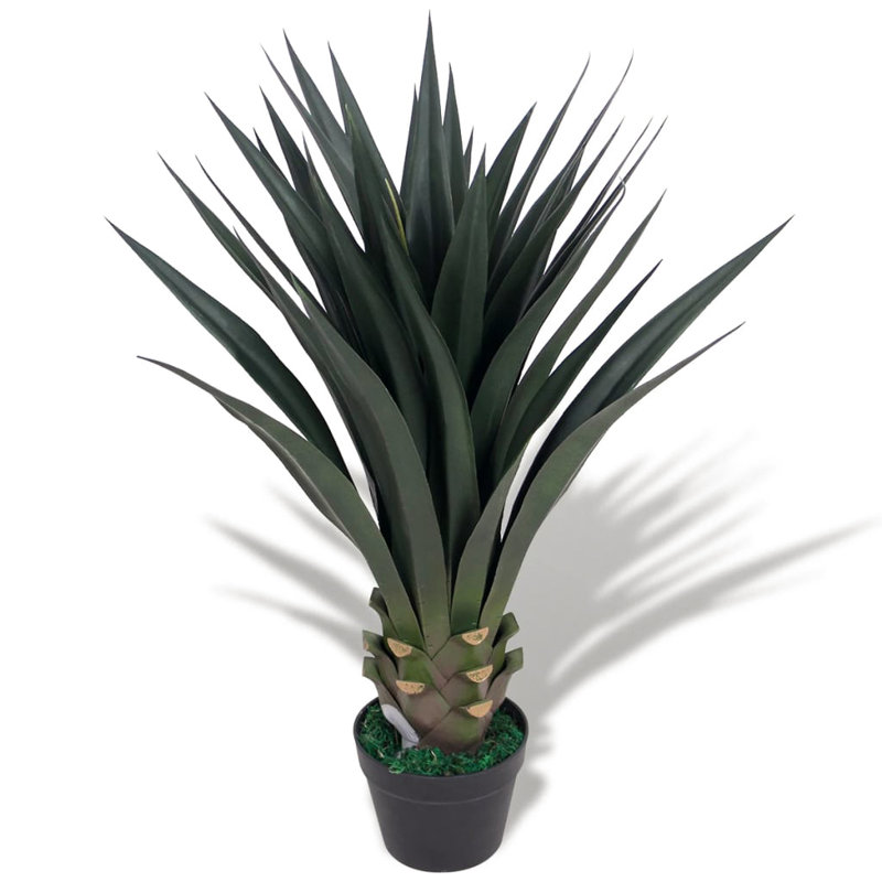 85cm Yucca Plant in Pot