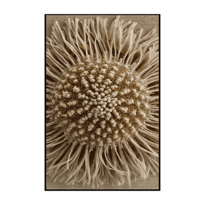 Machine Washable Nature Brown Area Rug