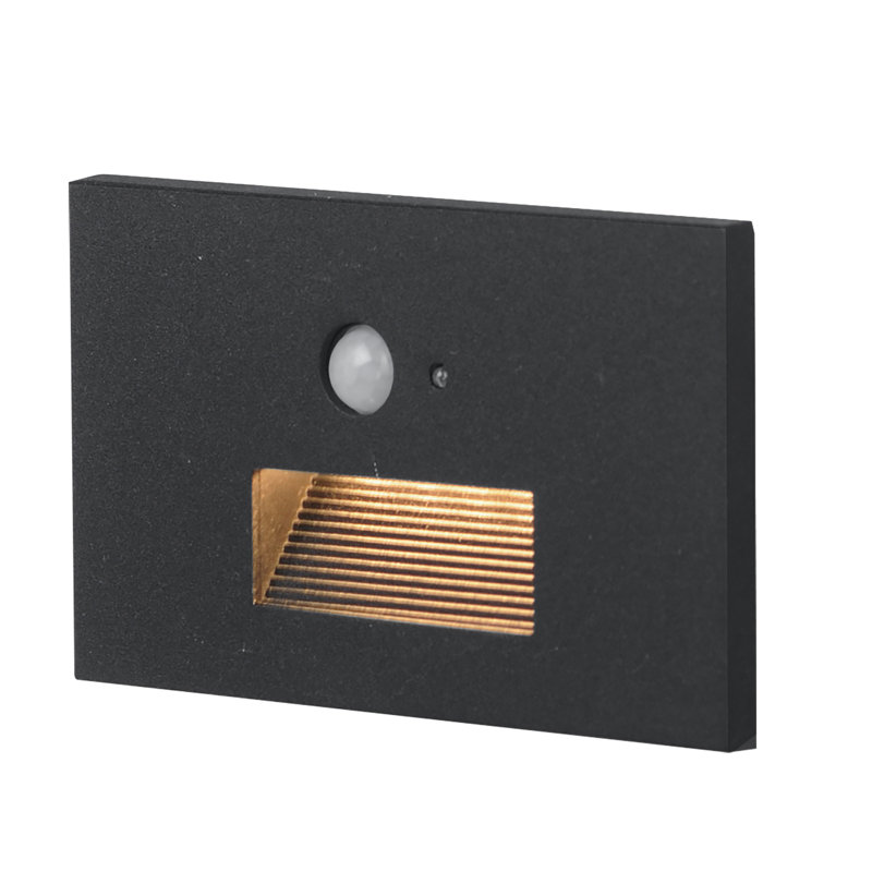 Path-Outdoor Pathway Light, Black