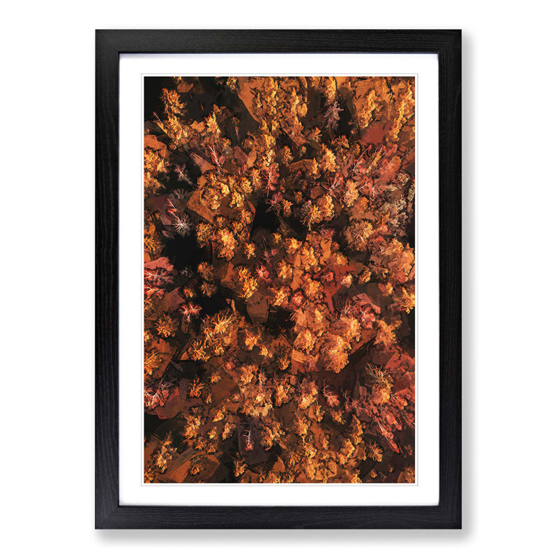 Autumn Forest in Bloom in Abstract - Picture Frame Graphic Art Print, 36cm H x 27cm W x 2cm D, Black Framed