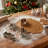 Christmas Cookie Cutter Holiday House 6 Piece